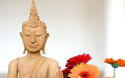 Ashtanga Yoga Anfängerkurs in Lindenthal!