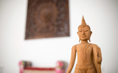 Zwei Ashtanga-Workshops: „Full Vinyasa und Pranayama“ und „Zweite Hälfte 1. Serie“